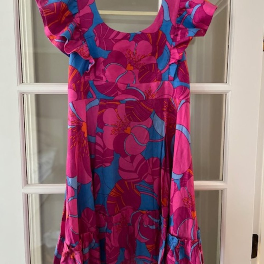 COPY - NEW!  Tuckernuck Cameran Eubanks Wild Azalea Edisto dress